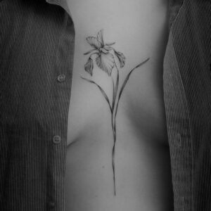 Fine line floral tattoo of iris on chest, 20 cm, very beautiful and detailed, tattooed at Vadelma Tattoo studio in Amsterdam