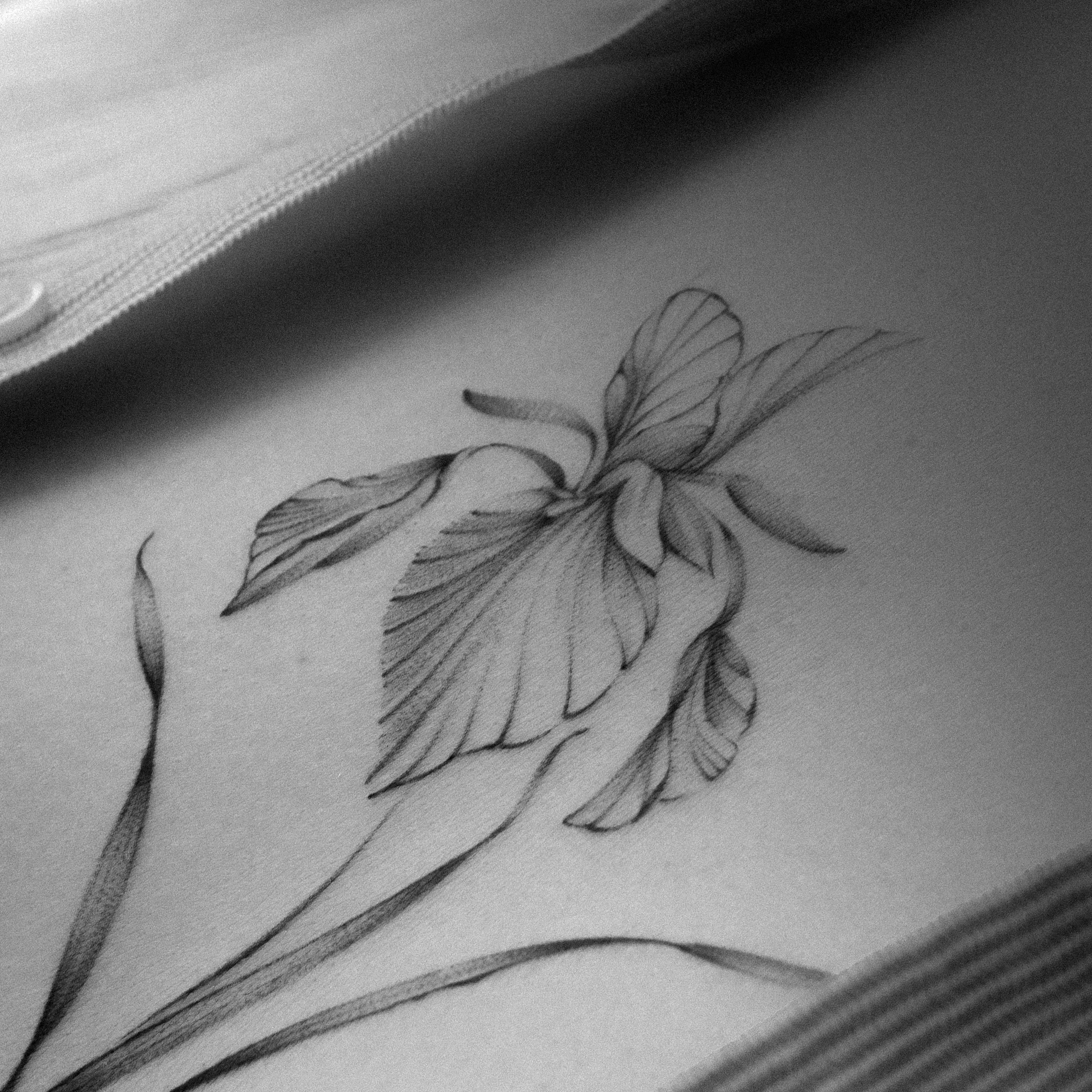  Iris flower - tattoo Amsterdam 