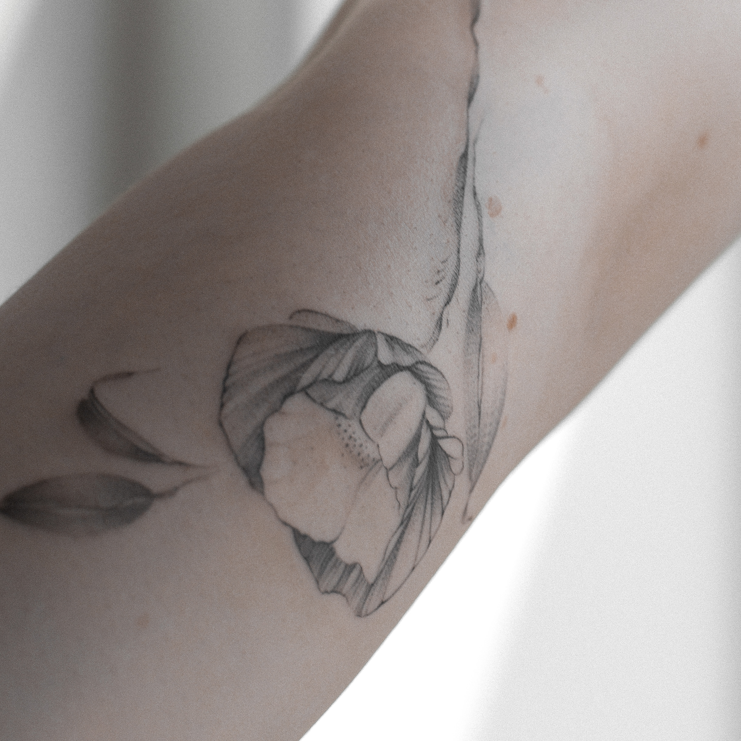  Flower tattoos Amsterdam 