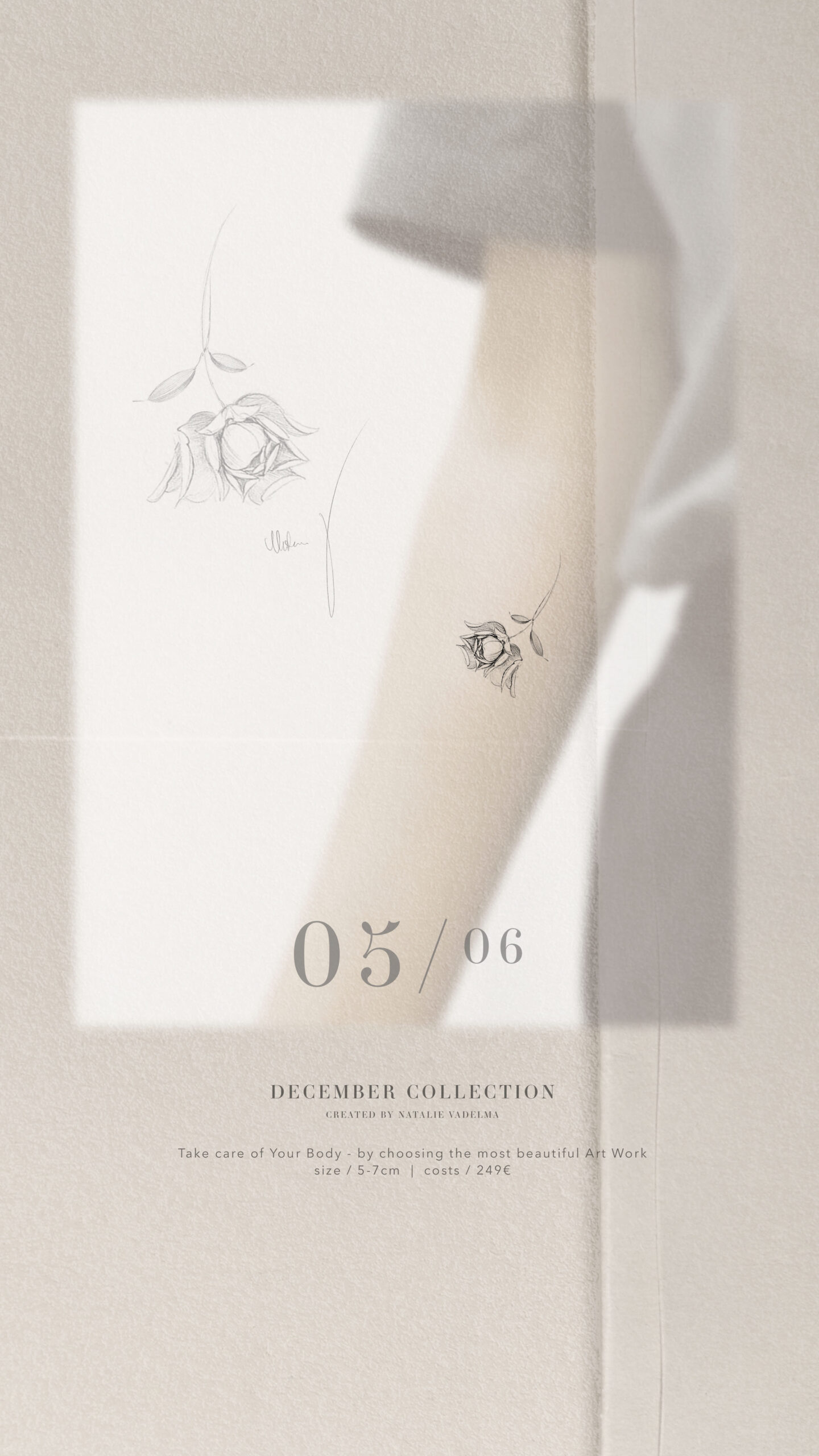  December Collection | Available Design 05/06