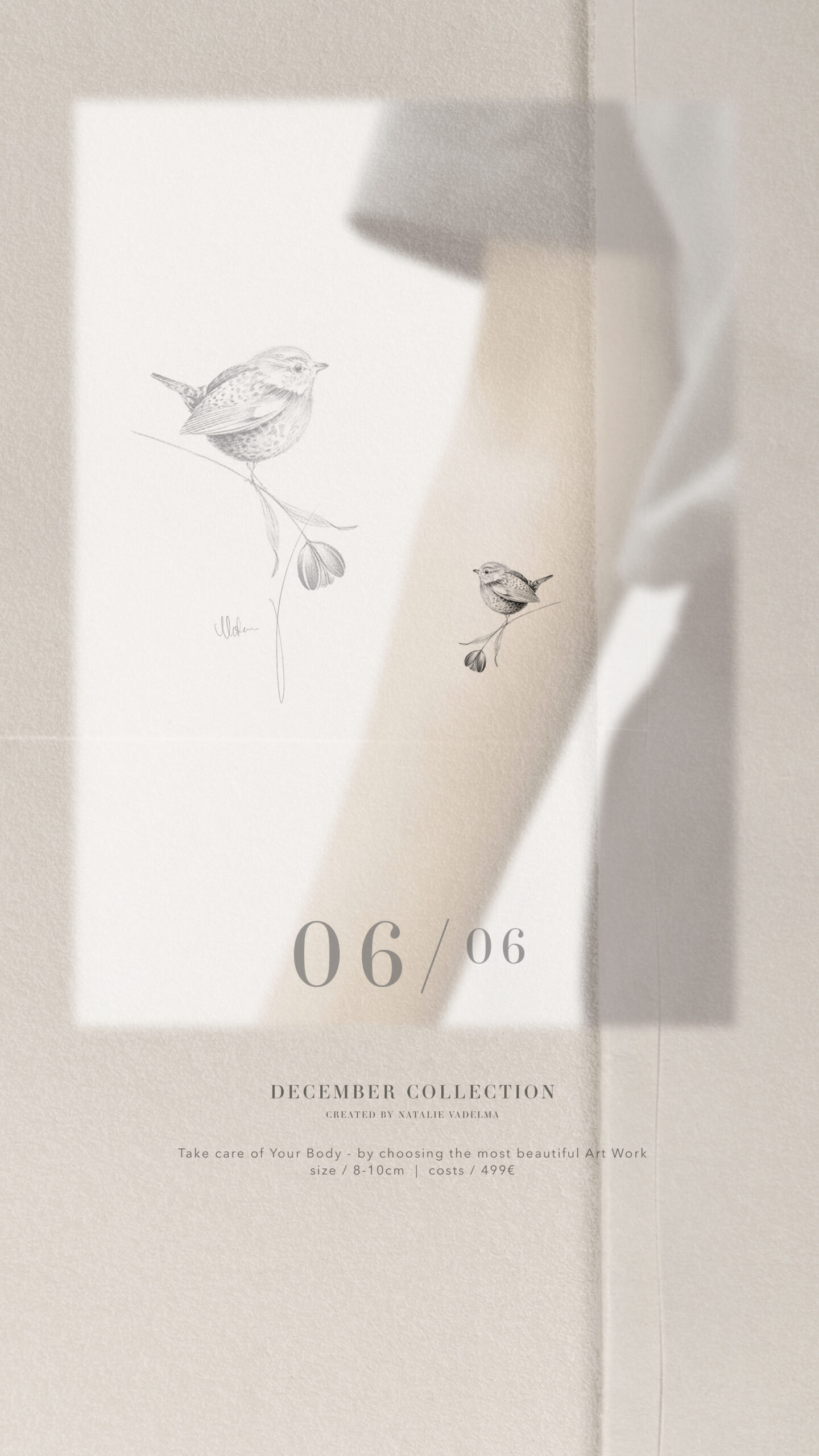  December Collection | Available Design 06/06