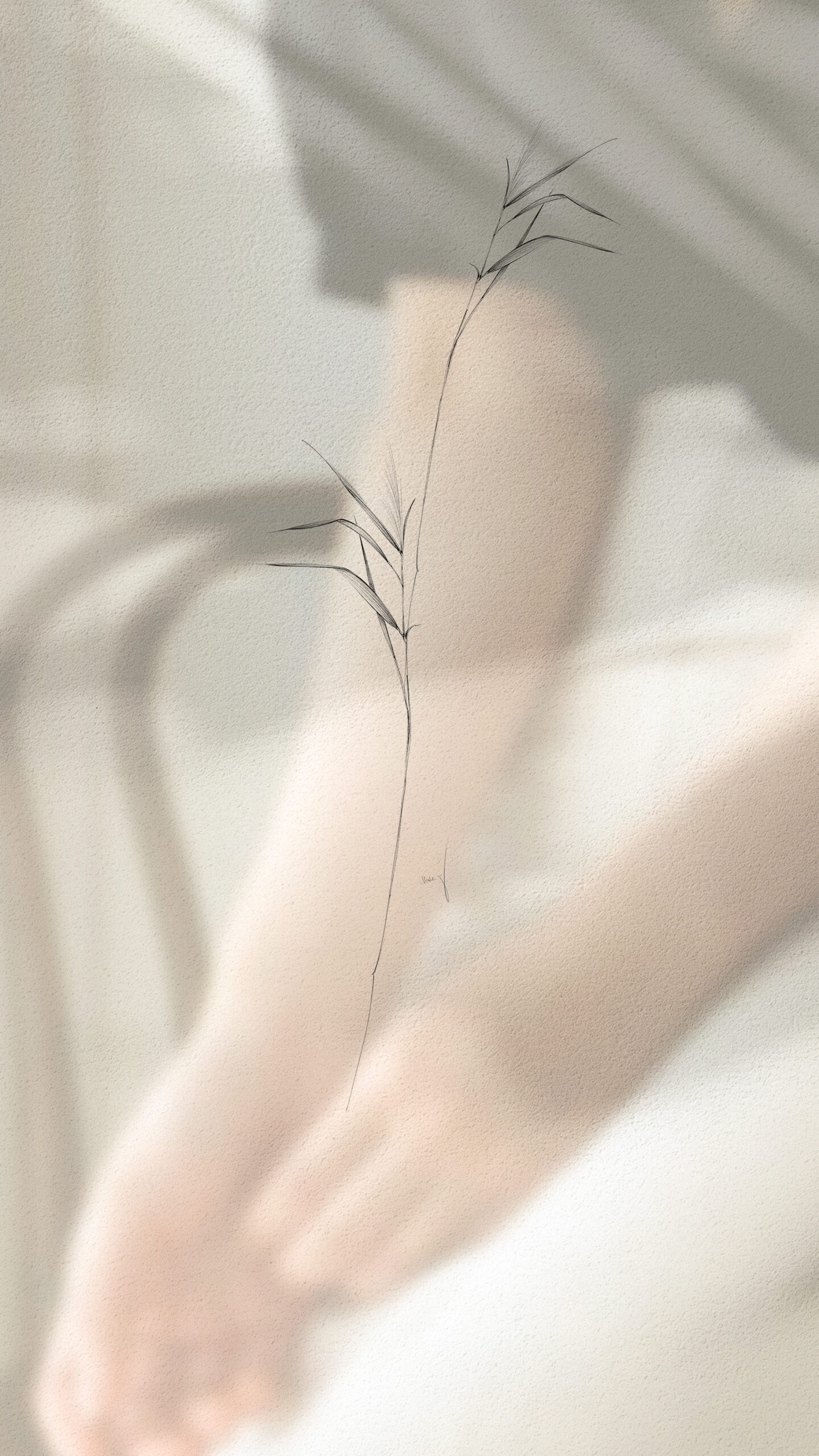  January Collection | Available Design 04/05