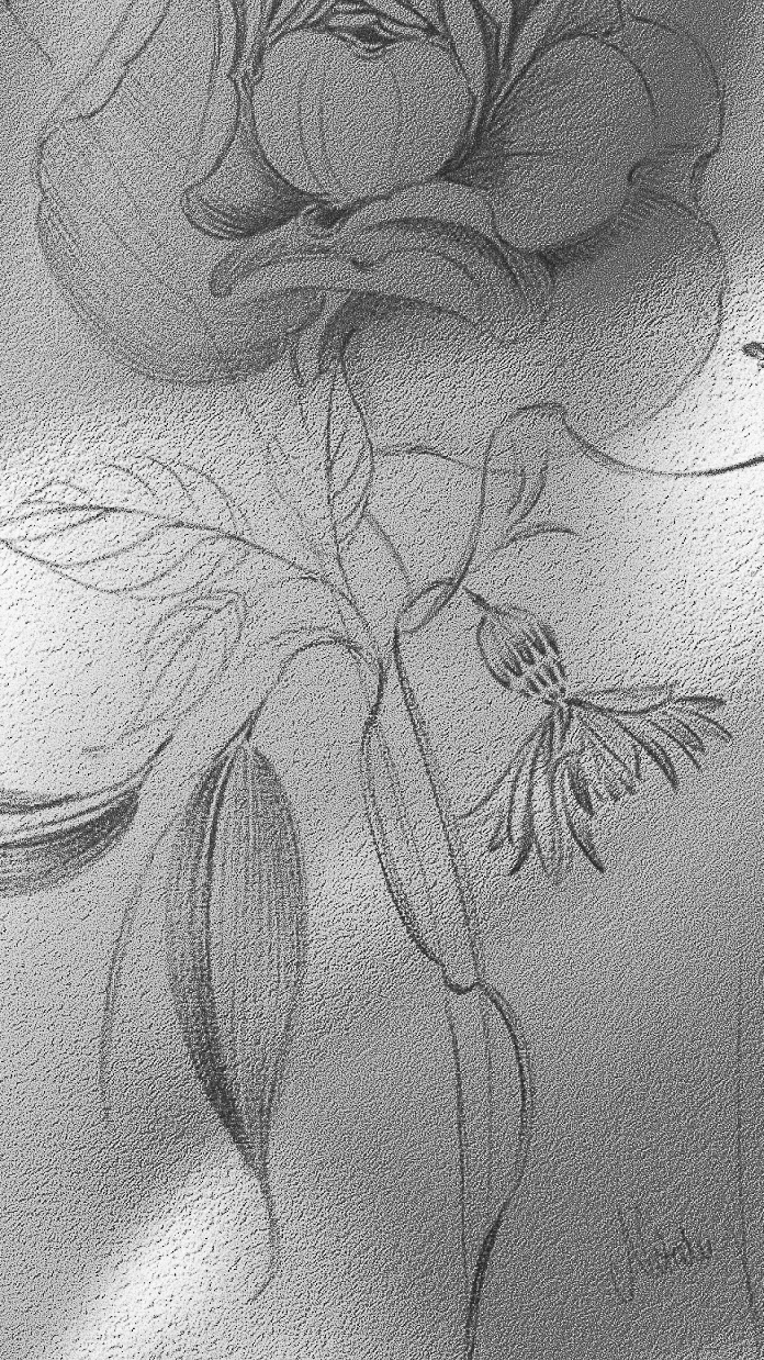  January Collection | Available Design 03/05