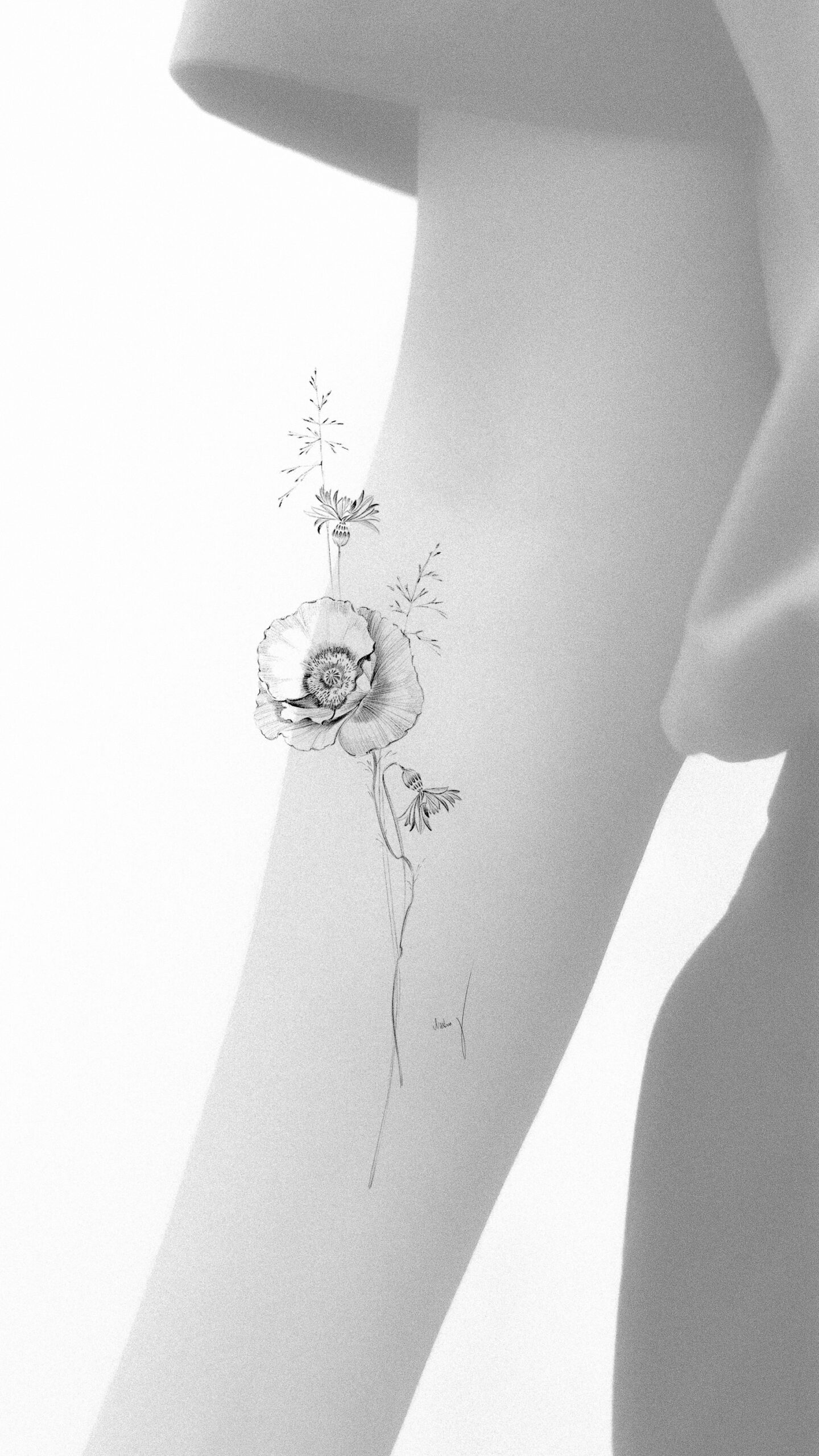  January Collection | Available Design 01/05