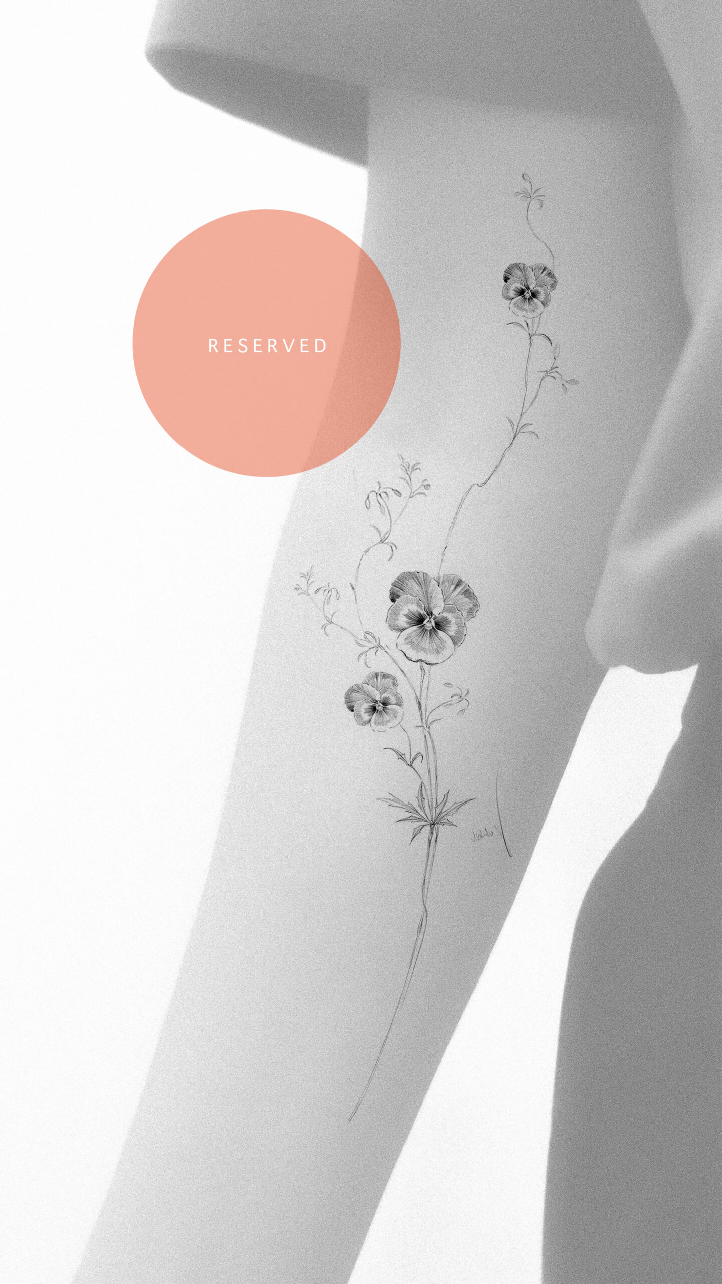  January Collection | Available Design 04/05