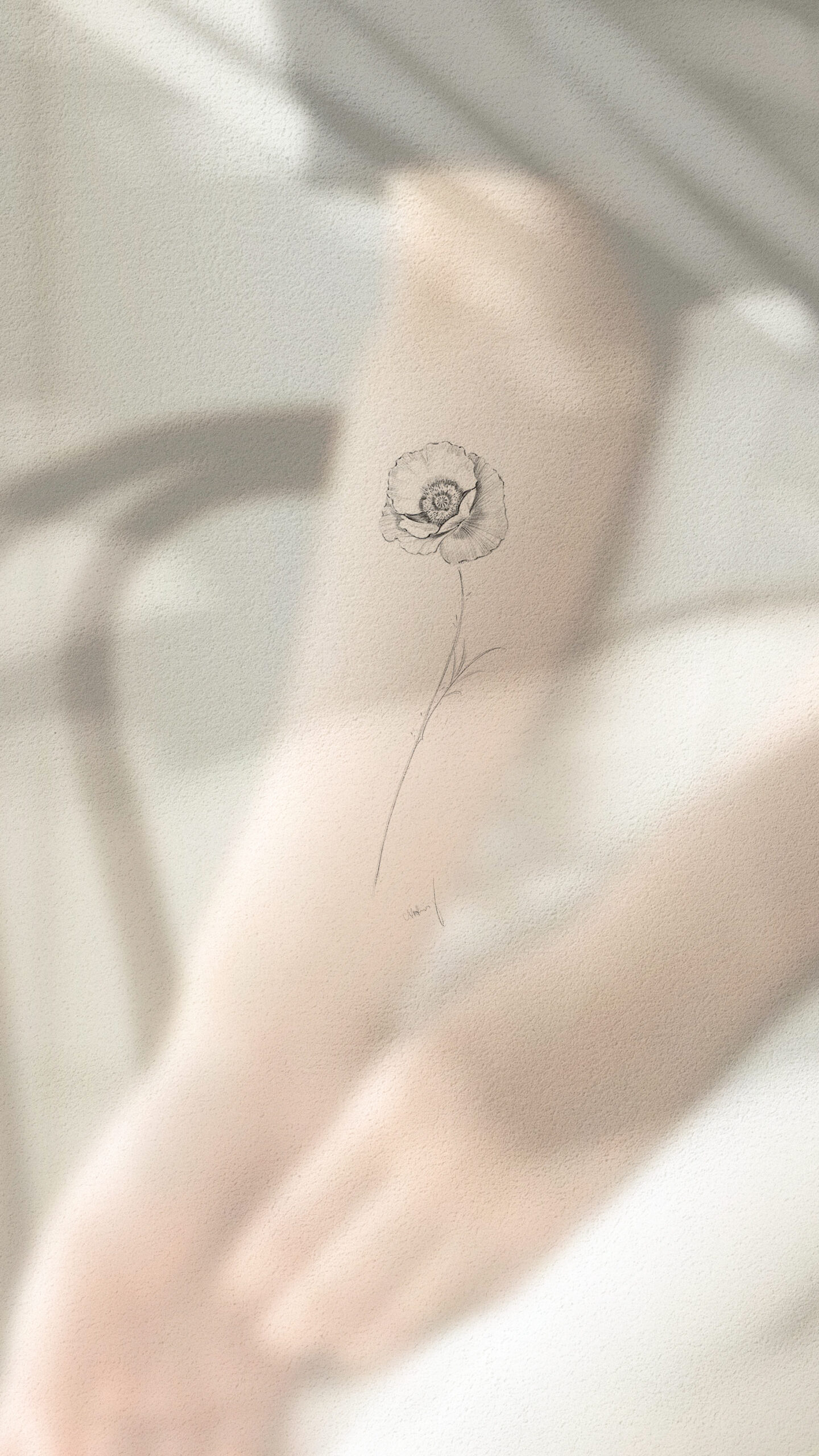  Tulip tattoo