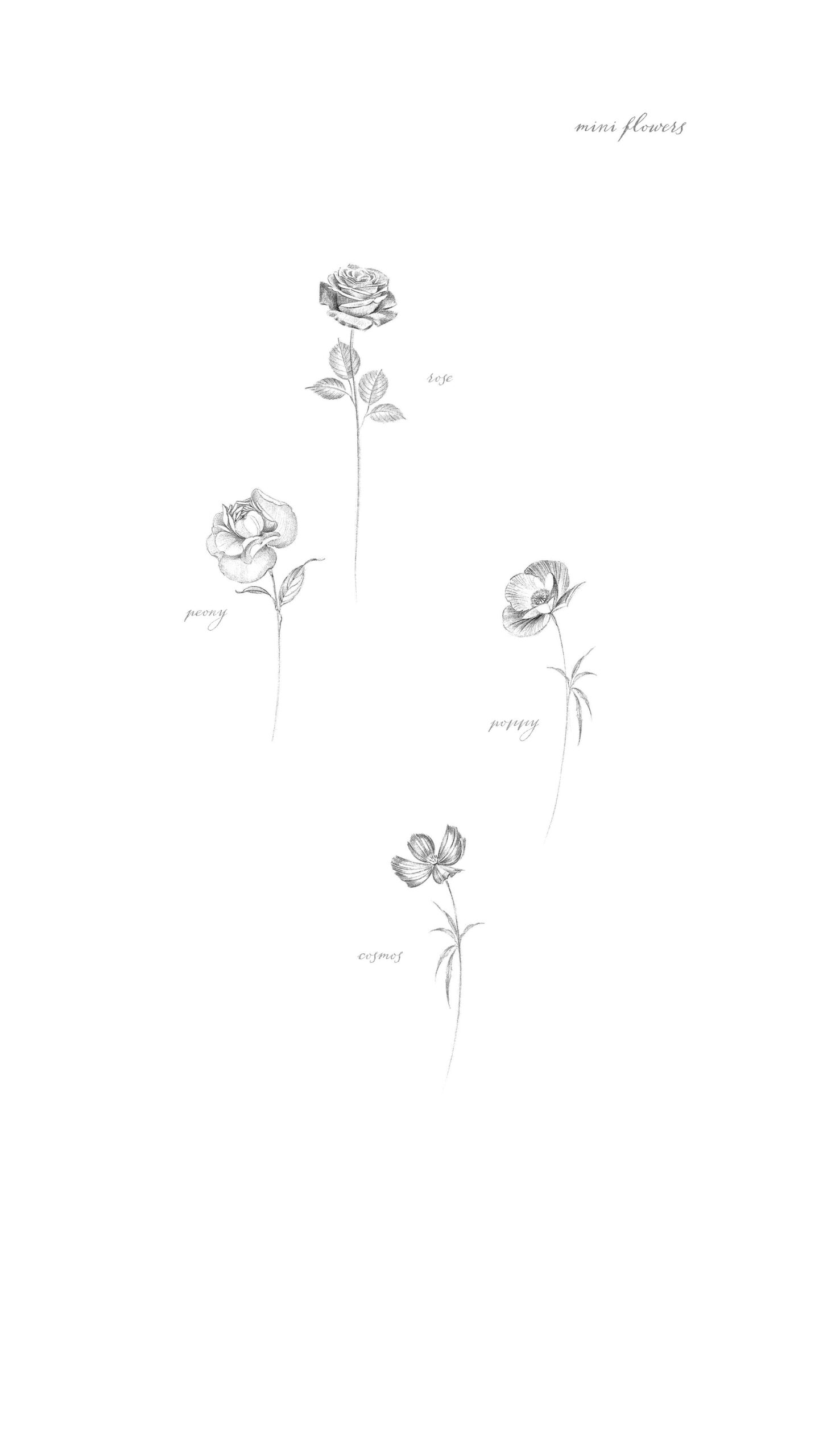  January Collection | Available Design 02/05