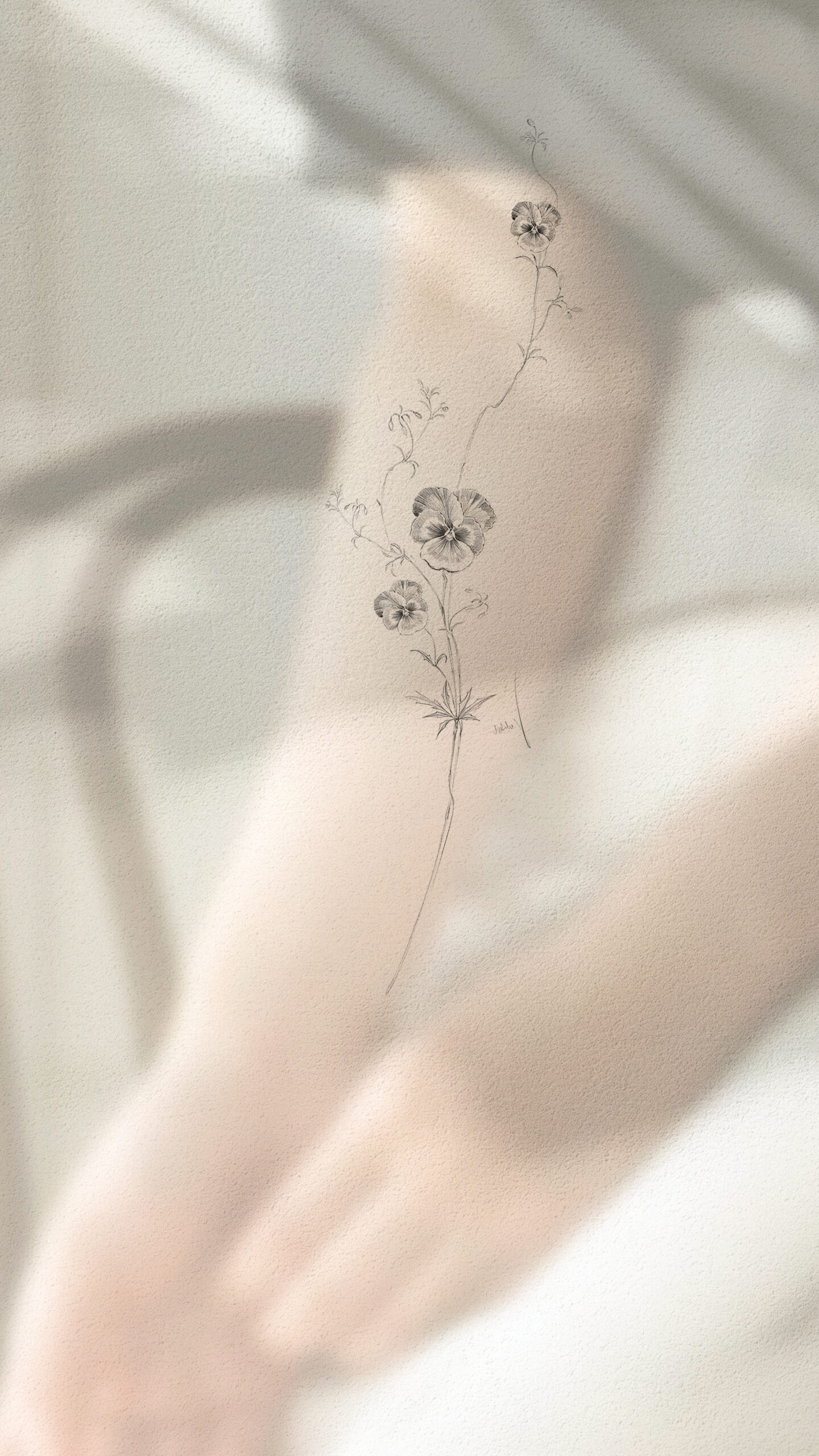  January Collection | Available Design 04/05