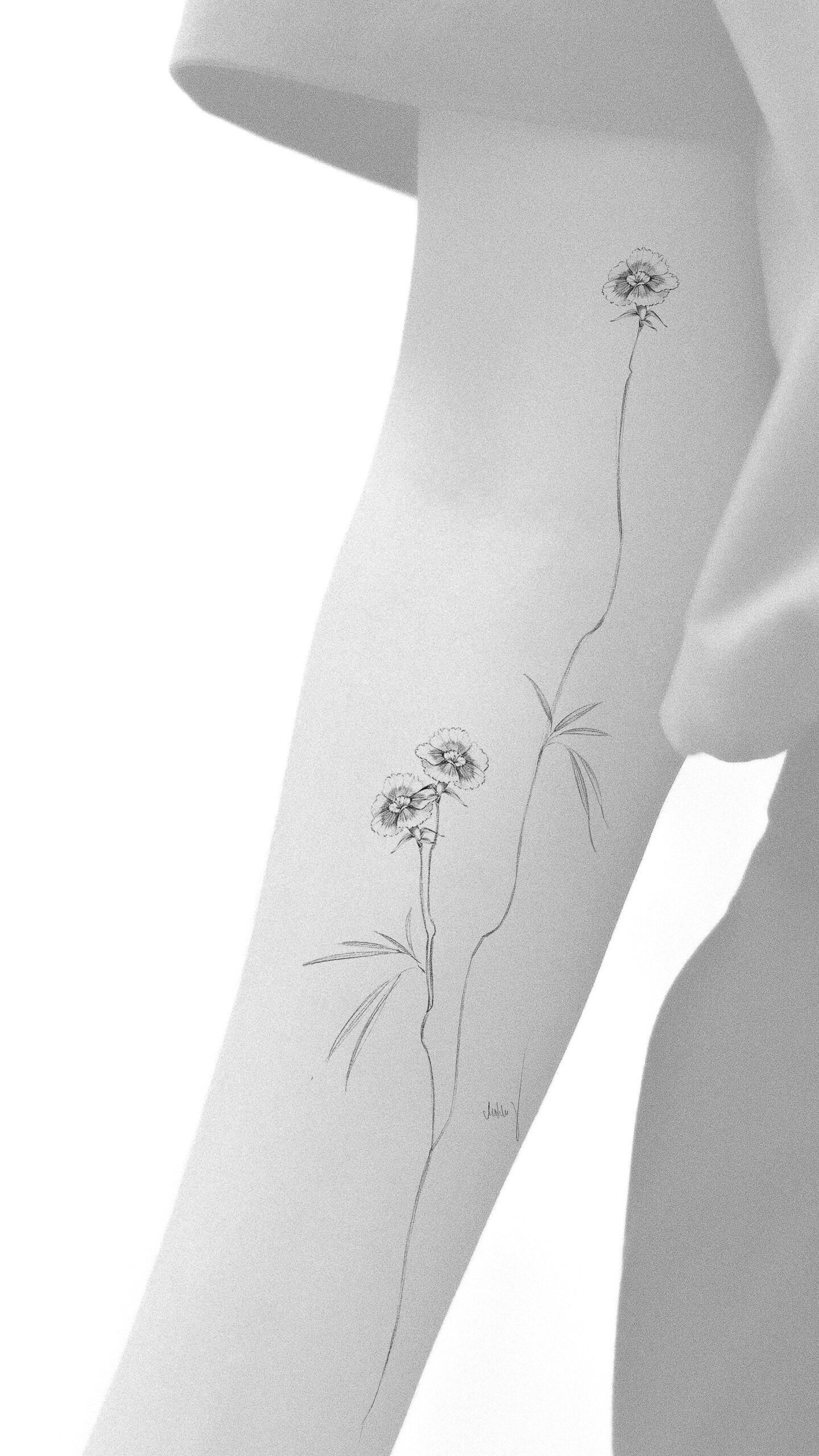  floral composition 03