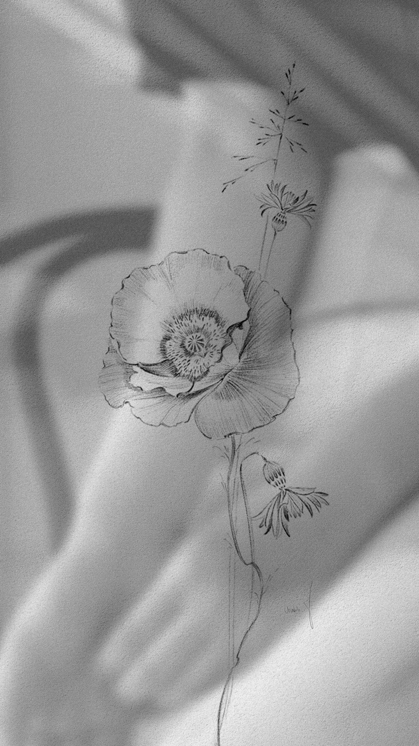  Floral composition 01