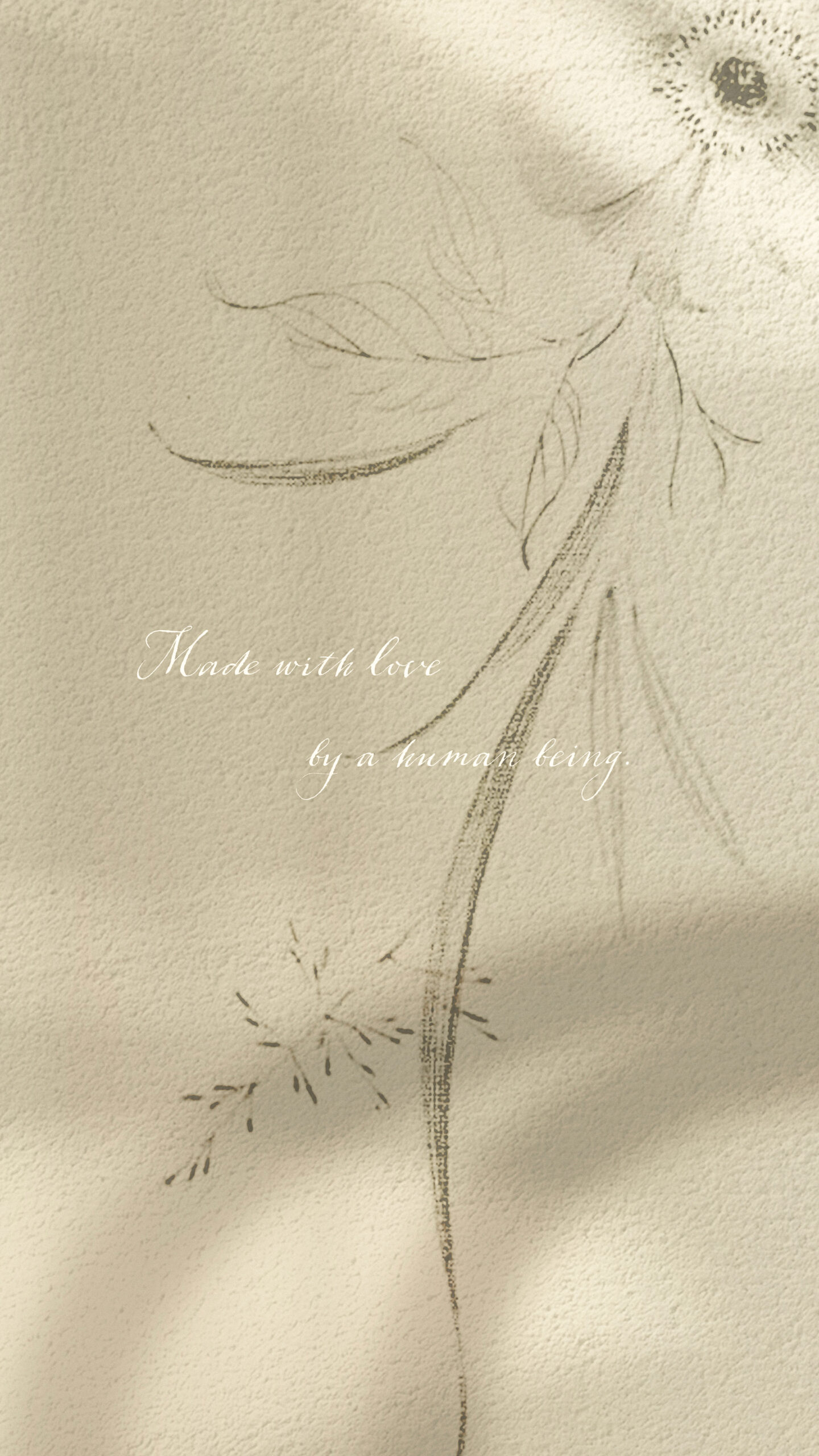  January Collection | Available Design 01/06