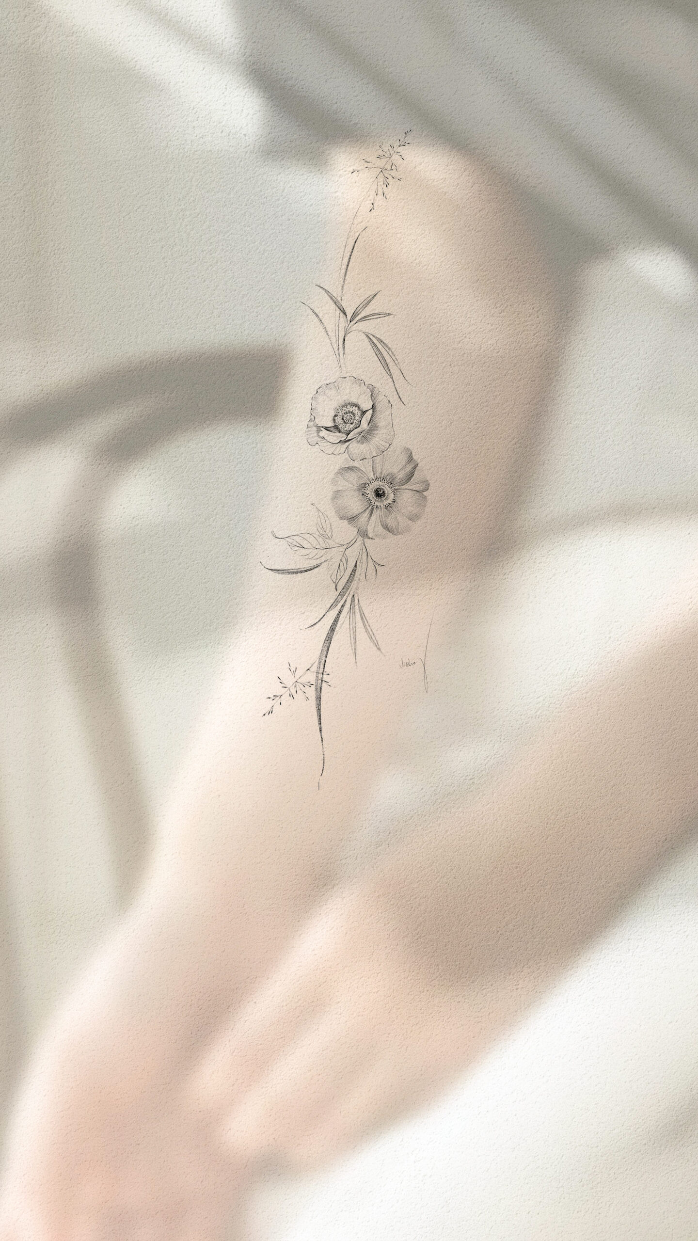  January Collection | Available Design 03/05