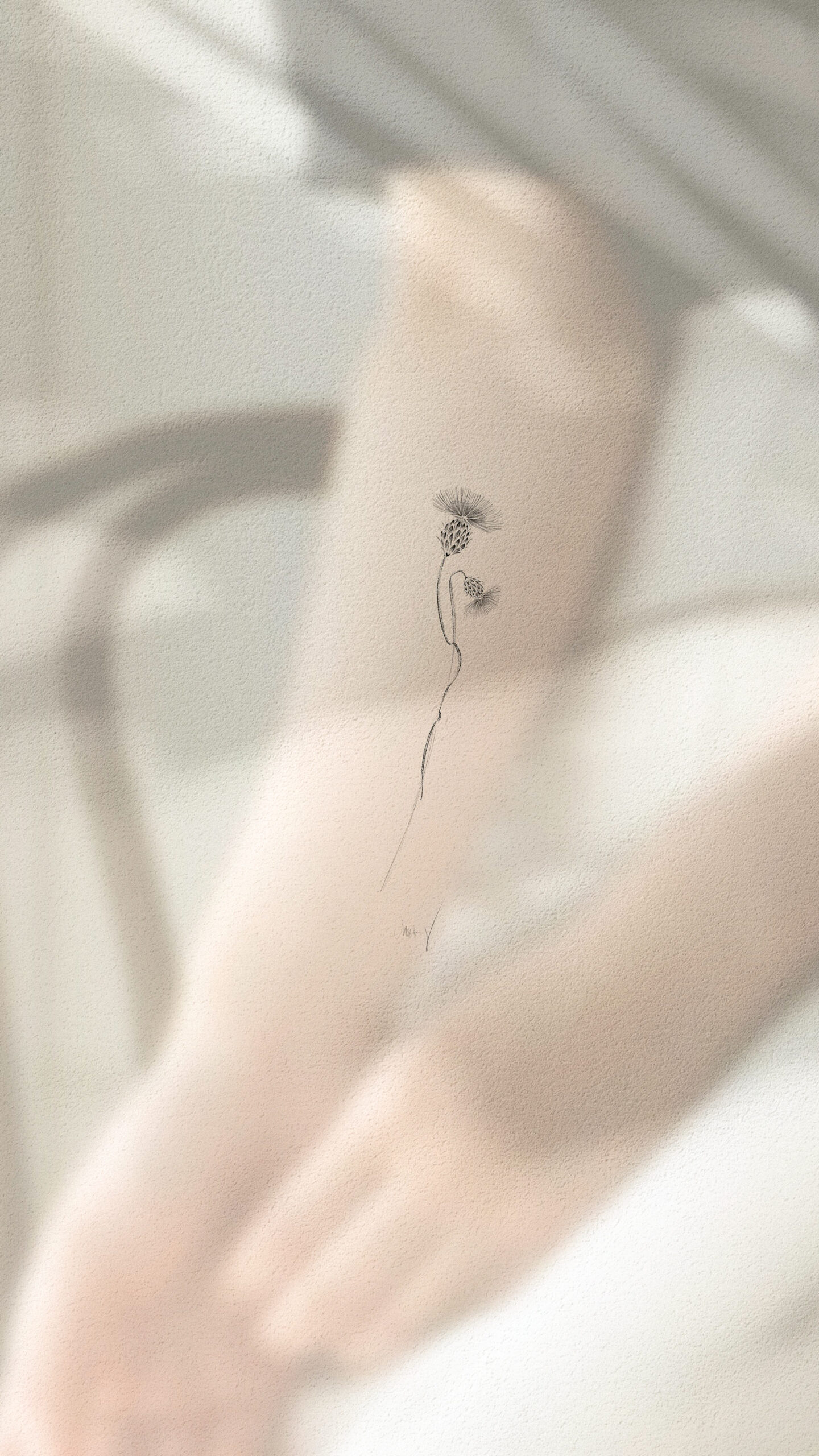  January Collection | Available Design 05/05