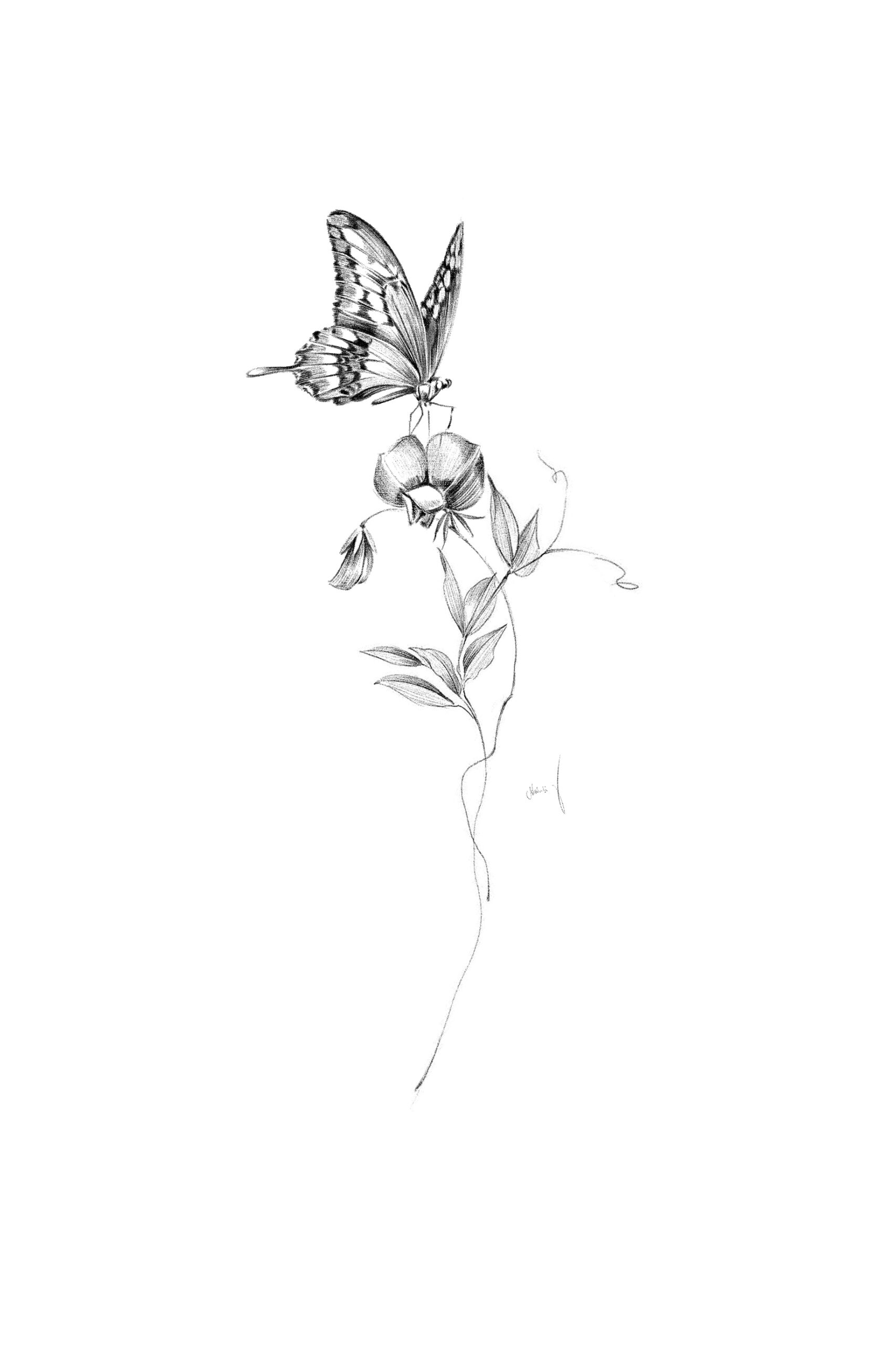  butterfly and sweet pea